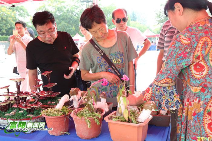 2019年全国科普日暨富阳区第32届科普宣传周活动启动